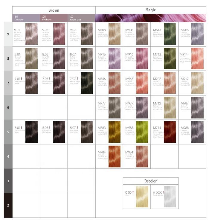 สมุดแผนภูมิสีผม