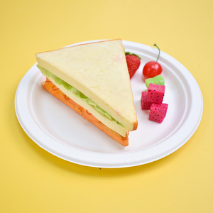Assiettes jetables en bagasse de canne à sucre écologiques 100% compostables de 9 pouces pour gâteaux, pizzas, micro-ondes et résistantes à l'huile - Product Image 4