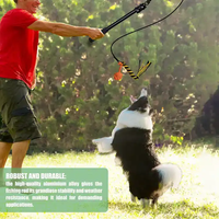 Queue de poursuite interactive de haute qualité OEM personnalisé vente chaude pôle télescopique pour chien Teaser