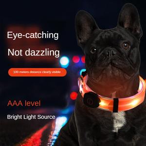 Collier lumineux LED rechargeable par USB pour chien, motif uni, en nylon avec ruban en PVC, laisse de maintien pour animaux de compagnie - Product Image 4