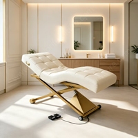 Table de massage moderne de haute qualité, lit de spa cosmétique électrique à 1 moteur, fauteuil facial, lit de beauté pour salon