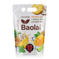 Pochettes personnalisées imprimées 3L 5L pour jus, liquides, vin – Sachets souples à bec verseur pour cocktails