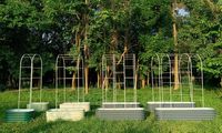 Treillis en acier enduit de poudre pour le soutien de la culture des plantes Treillis arqué U4 pour le jardin grimpant