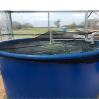 Bac de culture aquaponique personnalisable en polyéthylène de qualité alimentaire pour aquarium hydroponique