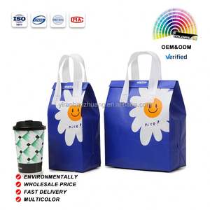 Bolsa Desechable para Llevar Comida, con Forro de Papel de Aluminio, Aislante Térmico para Bebidas y Alimentos, para Entrega de Comida Caliente y Fría - Product Image 1