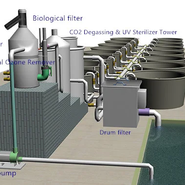 Eco Aquaculture rotary Drum Filter Fish Farming Water Filter Machine Ras 50 M3 150m3 300m3 hr Fish Pond Mini Pretreatment