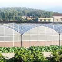 Serre multi-travées en polycarbonate avec structure en acier galvanisé à chaud, résistante aux UV, pour la culture de légumes et de fleurs
