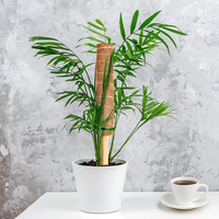 Bâtons extensibles en fibre de coco pour soutenir les plantes en pot d'intérieur, piquets en mousse naturelle