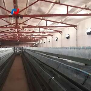 Ferme avicole <span class=keywords><strong>de</strong></span> haute qualité et système <span class=keywords><strong>de</strong></span> Ventilation <span class=keywords><strong>de</strong></span> poulailler fenêtre <span class=keywords><strong>de</strong></span> Ventilation <span class=keywords><strong>d</strong></span>'<span class=keywords><strong>entrée</strong></span> <span class=keywords><strong>de</strong></span> Circulation <span class=keywords><strong>d</strong></span>'<span class=keywords><strong>air</strong></span> <span class=keywords><strong>de</strong></span> <span class=keywords><strong>toit</strong></span> - Product Image 6