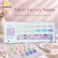 Vernis à ongles gel micro-pailleté 12 couleurs en gros, haute qualité, marque privée, fournisseur d'articles de nail art DIY