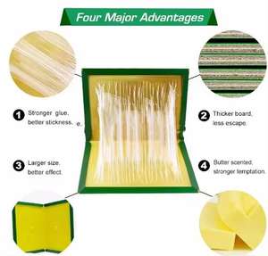 Piège à colle de meilleure qualité pour souris rats cafards mouches piège à souris en papier <span class=keywords><strong>efficace</strong></span> panneau de colle - Product Image 5