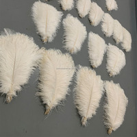 Plumes d'autruche blanches de 40-45 cm (16-18 pouces) parfaites pour l'artisanat, les décorations de carnaval, les centres de table et les garnitures de vases