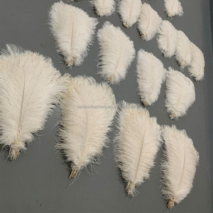 Plumas de Avestruz Blancas de 40-45 cm, 16-18 Pulgadas, Perfectas para Manualidades, Decoraciones de Carnaval, Centros de Mesa y Rellenos de Jarrones - Product Image 6