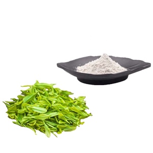 Bulk Supply Epigallocatechin Gallate Powder <strong>EGCG</strong> 98% From Natural Green Tea <strong>Extract</strong> - Product Image 2