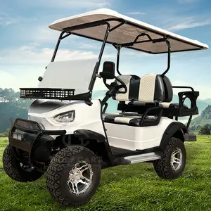 热卖800W 48V Ebike 4轮电动代步车城市通过车顶高尔夫球车电动