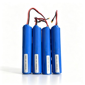 Módulo de Pantalla Versátil para Paquete de Baterías LiFePO4 con Cables, Batería de Iones de Litio para Aplicaciones de Energía Móvil - Product Image 2