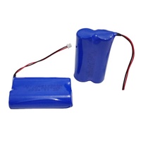 Piles non rechargeables 2ER14505M 7,2V 2200mAh Er14505m Batterie au lithium pour compteur de chaleur de l'eau intelligent