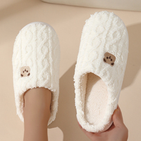 Op maat gemaakte logo fruit binnenhuis pantoffels met comfortabel pluizig pluche voor lente binnen zacht winter gunstige korting