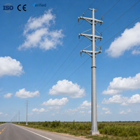 Poteau électrique en acier galvanisé à chaud pour l'électrification rurale et urbaine, conforme aux normes ANSI/NESC, indice de protection IP66, durée de vie antirouille supérieure à 30 ans