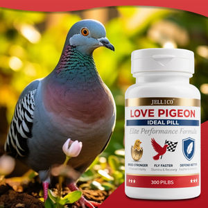 Campione Omaggio Integratore Avanzato per Piccioni 300 Compresse Vitamina per Piccioni per Migliorare Vitalità Riproduttiva Resistenza in Volo e Salute del Piumaggio - Product Image 2