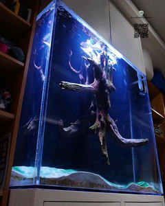 Professionele Aquariumtank & <span class=keywords><strong>Aquarium</strong></span> <span class=keywords><strong>Aquarium</strong></span> Met Hoogwaardige Aquariumdecoraties, Planten En Glazen Aquariumbenodigdheden - Product Image 3