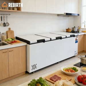 <span class=keywords><strong>Congelador</strong></span> Horizontal Pequeño de 100-400 <span class=keywords><strong>Litros</strong></span>, 150L, <span class=keywords><strong>Mini</strong></span> Refrigerador, <span class=keywords><strong>Congelador</strong></span> Doméstico, Otros Congeladores - Product Image 5