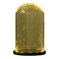 Cloche en verre Bougie Cloche Dôme en verre Dôme de Noël Mariage Préservé Cloche Dôme en verre Base en bois avec lumières LED