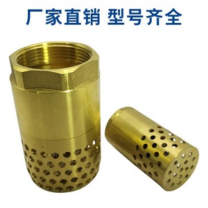 Vanne anti-retour Senfm avec revêtement en cuivre Dn25 32 40 50, anti-reflux, pour pompe à eau - Product Image 4