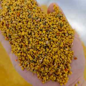 Polen de Abeja de Alta Calidad, Polen de Abeja de Colza, 100% Puro, Polen de Abeja Mezclado con Polen de Colza, Polvo de Polen de Abeja - Product Image 3