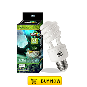 Lampe fluorescente compacte Lucky Reptile 26W <span class=keywords><strong>UVB</strong></span> 10.0, indice <span class=keywords><strong>UVB</strong></span> 100 <span class=keywords><strong>150</strong></span> 200, matériau plastique et verre, ampoule UVA <span class=keywords><strong>UVB</strong></span> à spectre complet - Product Image 5