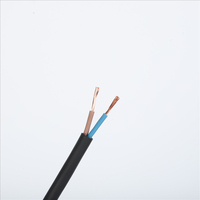 Câble en caoutchouc flexible de haute qualité YZ 2Core 3Core 0,75-6mm², âme en cuivre GB/IEC, résistant à l'huile, pour équipement industriel 2*0,75