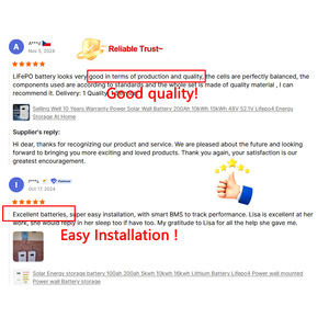 مخزون ألمانيا بطارية ليثيوم أيون لتخزين الطاقة الشمسية المنزلية 15 كيلو وات/ساعة 20 كيلو وات/ساعة 30 كيلو وات/ساعة 48 فولت 100 أمبير/ساعة حزمة بطارية ليثيوم Lifepo4 v 200ah - Product Image 5