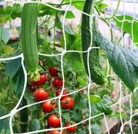 Zware Groene Tuin Trellis Netting Voor Klimplanten Buitenplant Gaas Plastic Voor Komkommers Tomaten Fruit