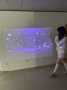 Nhà Sản Xuất Nhà Cung Cấp Bán Tường Máy Chiếu Trò Chơi Tương Tác 3D Sàn Hệ Thống Chiếu Cảm Biến Chuyển Động Ma Thuật Bóng Trò Chơi - Product Image 3