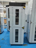 Fabrieksdirecte verkoop 32-laags voedseldroogmachine peer drakenvrucht ananas kipdroger voedseldehydrator