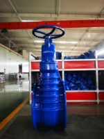 Vanne à opercule en fonte ductile étanche Z45T-16Q pour connexion à bride d'eau, taille de port 4 pouces, avec tige montante/cachée