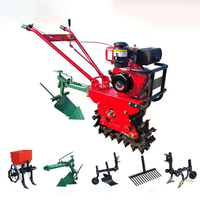 Motoculteur agricole multifonction économique avec largeur et profondeur réglables, adapté au labourage de divers types de sols, rotatif