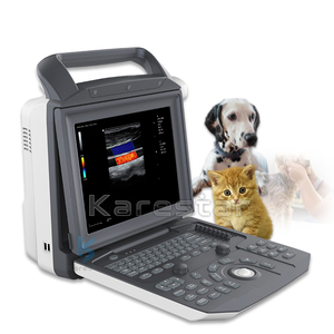 Ecógrafo Doppler Color Portátil Mindray DP10 DP20 DP50, Ecógrafo Veterinario y Ginecológico - Product Image 1