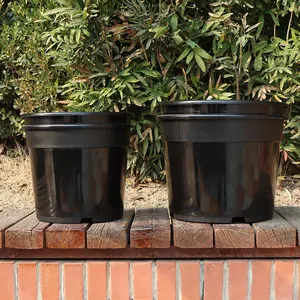 专业营养罐，用于农业种子种植塑料花盆，带3个小排水多孔