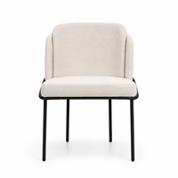 Chaises de salle à manger de style nordique minimaliste moderne, pieds en acier, mobilier de luxe pour la maison, utilisation en restaurant, structure métallique, fonction rafraîchissante