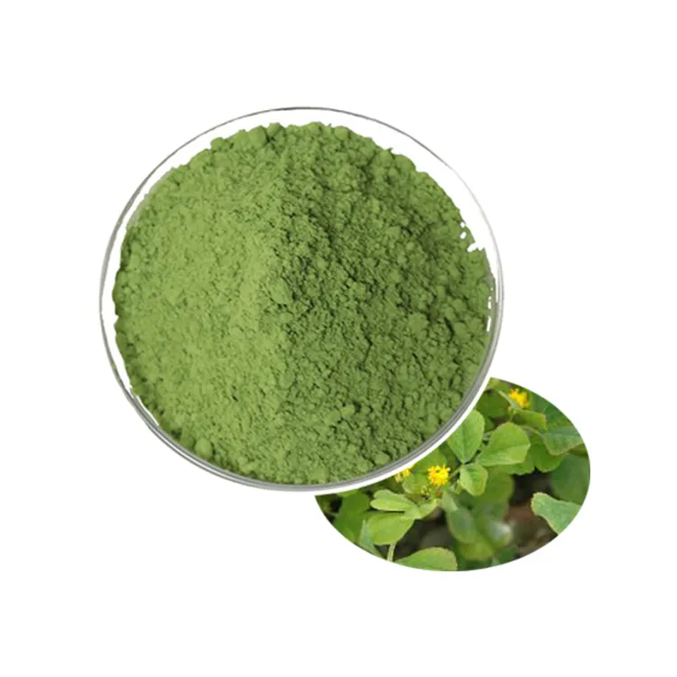 Bulk sale natural alfalfa extract powder 100% natural alfalfa powder with free sample