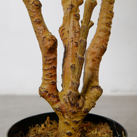 120cm Plante Artificielle Ficus Carica Plante En Pot Plante Fruitière Arbre Artificiel Décoration Intérieure