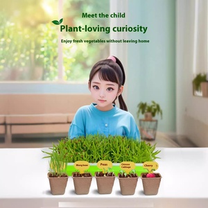 Trẻ em Khoa Học & kỹ thuật Đồ chơi mọc Rau Cây Giống khay nhỏ chậu cây quan sát hộp thí nghiệm thiết lập - Product Image 2