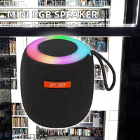 Haut-parleur portable 5.3 haut de gamme avec LED RGB, fonction FM, sortie 10W, prise en charge de la carte mémoire, idéal pour les fêtes et le home cinéma, mini sans fil