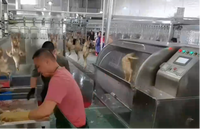 Machine à échaudage et à épluchage de poulets, machine à déplumer les volailles, capacité 10-15 poulets, prix compétitif
