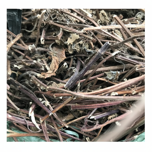 Feuilles de gelée d'herbe noire Premium Vietnam, gelée d'herbe séchée à base de plantes prête à l'exportation, meilleures offres d'approvisionnement en vrac pour les tiges de gelée d'herbe - Product Image 1