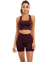 Pantalones cortos deportivos para mujer, conjunto de entrenamiento de Yoga sin costuras, 2 piezas, Sujetador deportivo para gimnasio