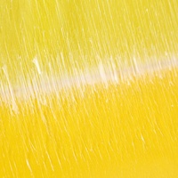 Rouleau de piège à mouches en plastique solide bleu/jaune 30CM*100M 25CM*100M Bande adhésive jetable de haute qualité à colle forte pour le contrôle des thrips