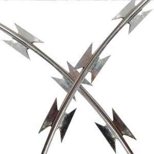 Rouleau de fil barbelé en spirale en PVC pour clôture anti-escalade, fil barbelé plat, fil barbelé en forme de <span class=keywords><strong>lame</strong></span>, corde barbelée - Product Image 5