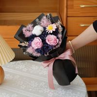 Buket Rumput Pampas Kering Alami dari Sweet Cool Girl untuk Hari Valentine, Kehidupan Abadi, Langsung dari Pabrik, Berkualitas Tinggi